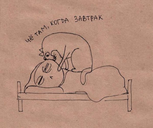 С добрым утром юмор