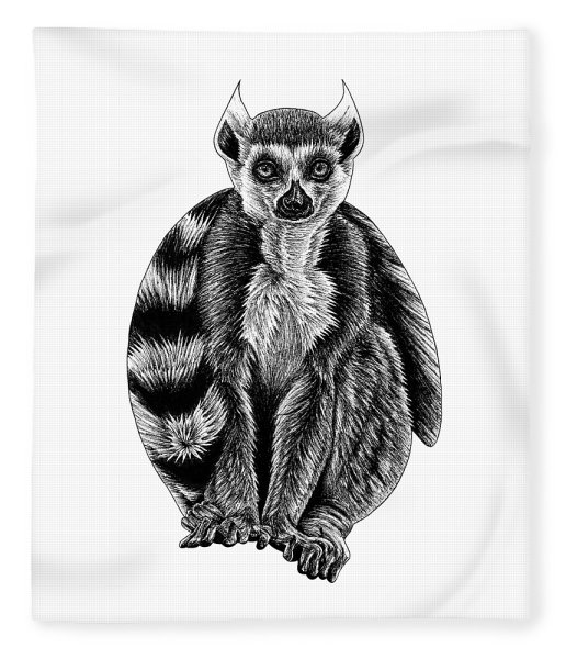 Лемур Лори рисунок