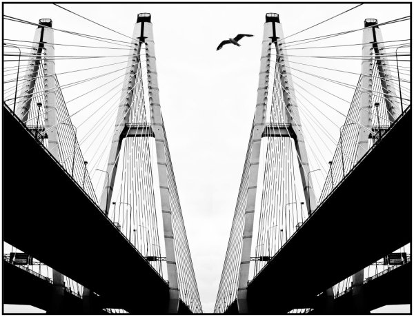 Большой Обуховский мост чертеж