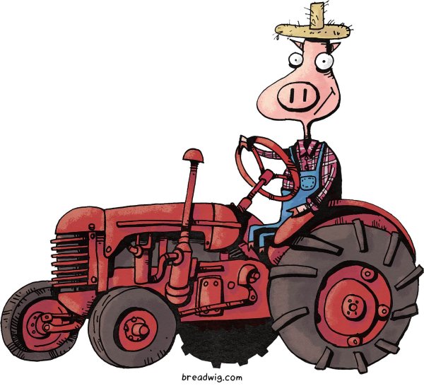 Поросенок на тракторе