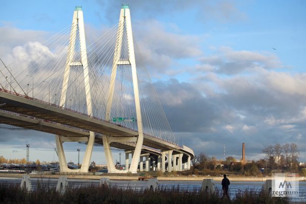Владивосток золотой мост Графика
