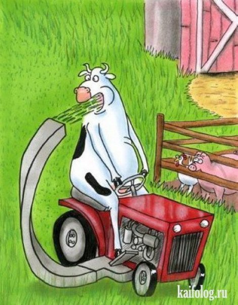 Газонокосилка юмор