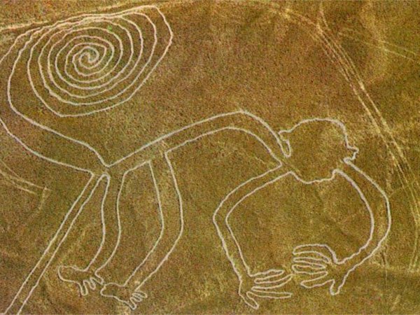 Рисунки пустыни Наска