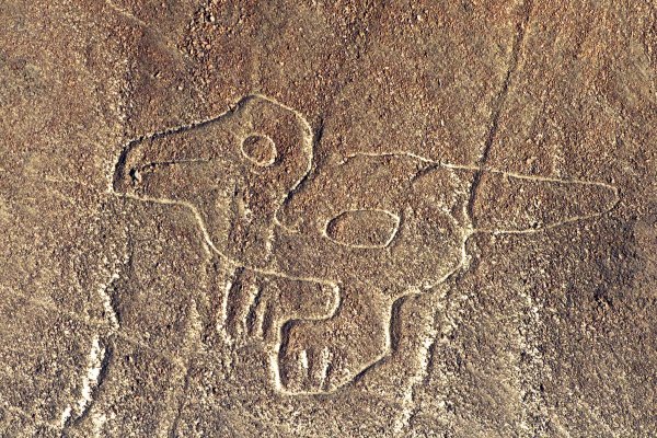 На плато Наска в Перу 143 новых геоглифа