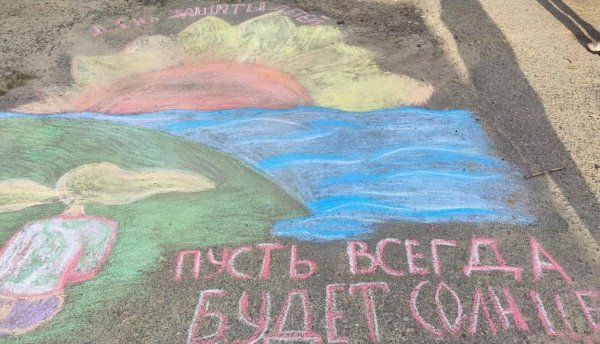 Муравейник в разрезе