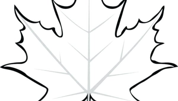 Лист клена трафарет