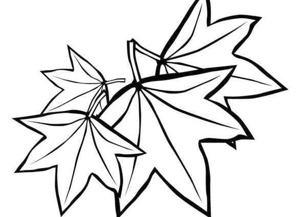 Лист клена раскраска