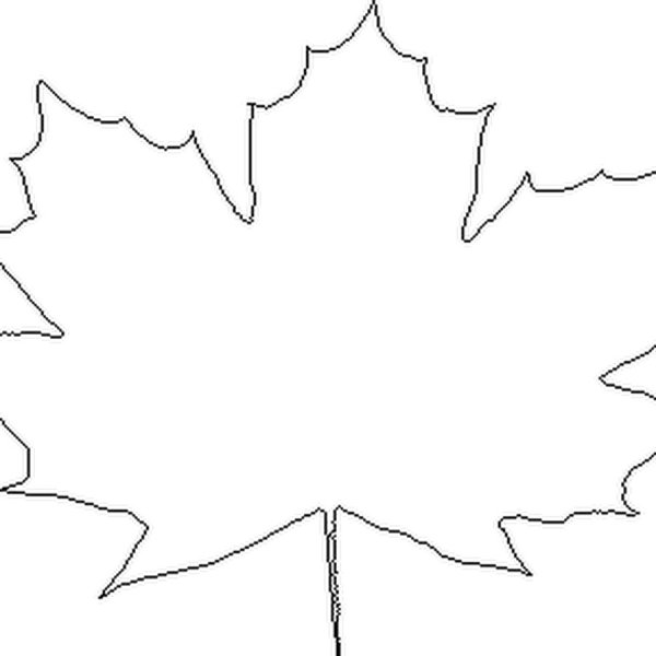 Лист клена схема