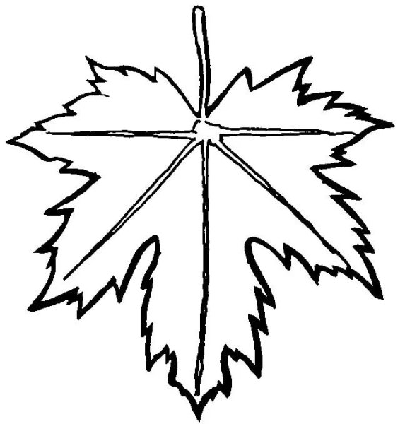 Листики для детей