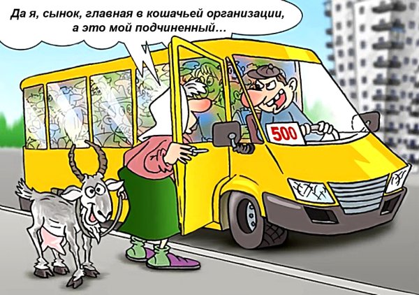 Маршрутка карикатура