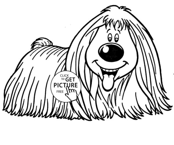 Раскраска лохматый пес