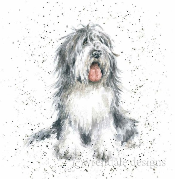 Собачка лохматая акварель