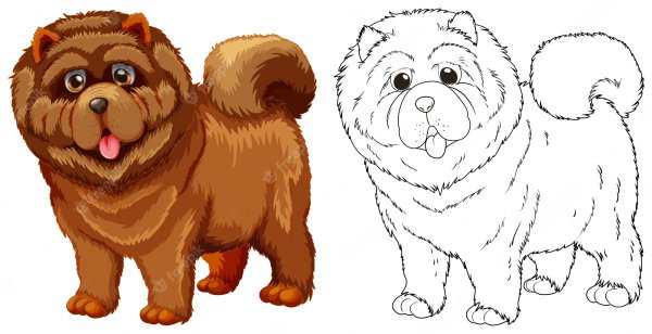 Пушистая собака вектор