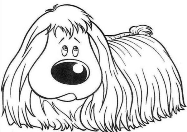 Лохматый щенок раскраска