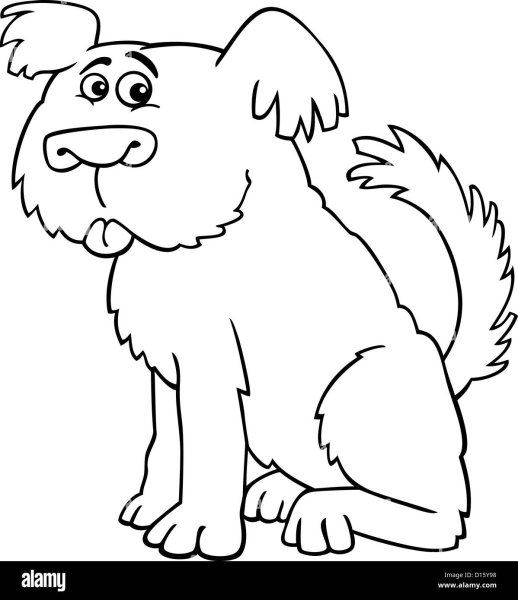 Раскраски кудлатая собачонка