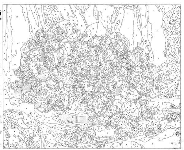 Живопись по номерам схемы