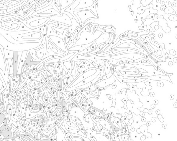 Раскраски по номерам сложные