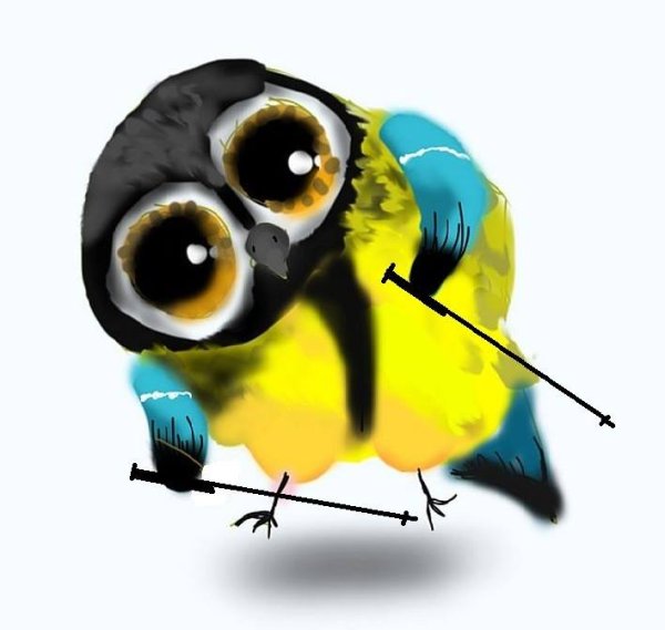 Синица карикатура