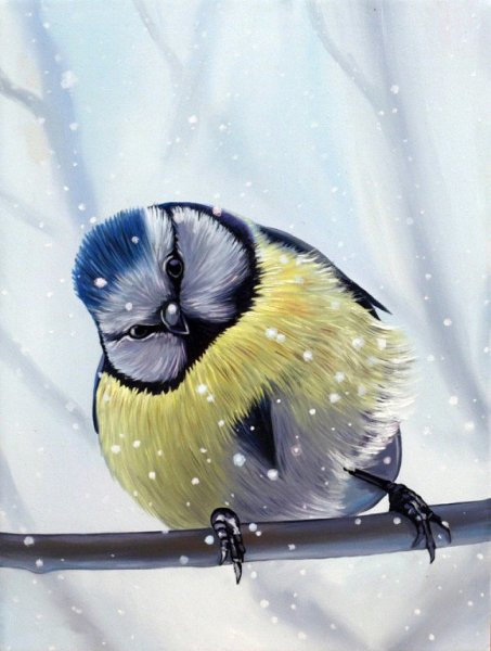 Доброе утро зимнее прикольное