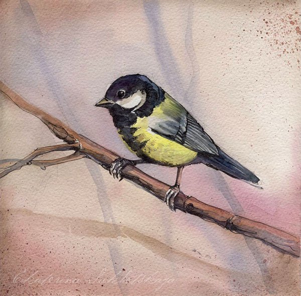 Синица фломастерами