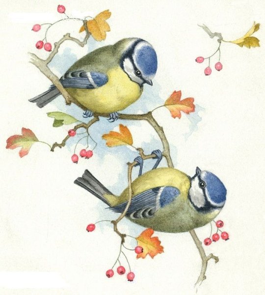 Рисование кормушки и синички