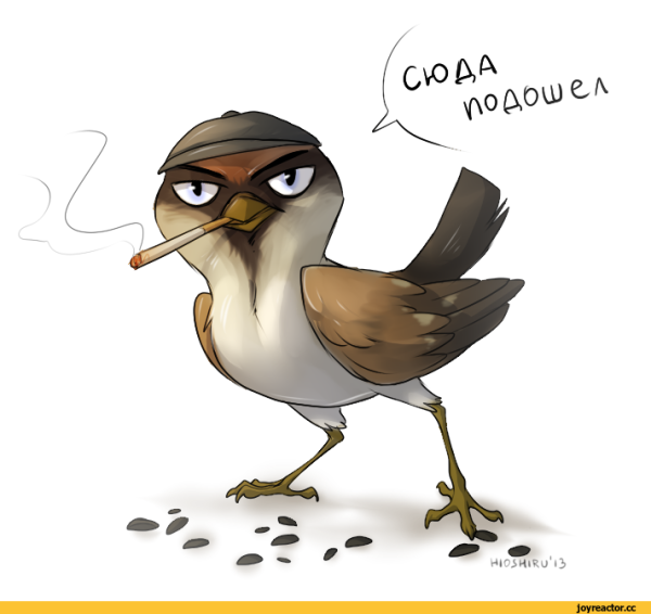 Ранняя пташка карикатура