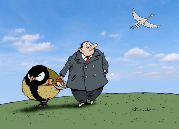 Лучше синица в руках