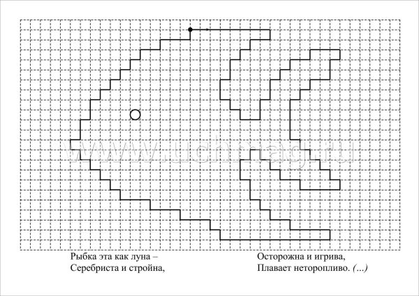Графический диктант рыба