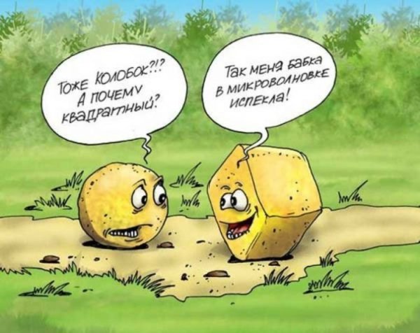 Смешные анекдоты про колобка