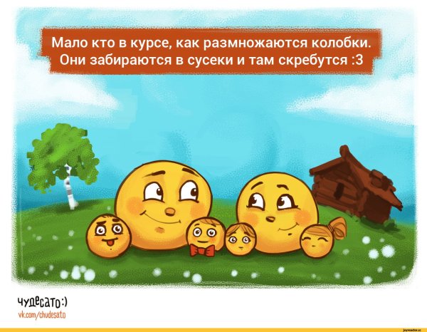 Картинки с колобком смешные