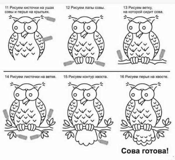 Рисуем сову Мем