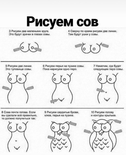 Инструкция рисунок