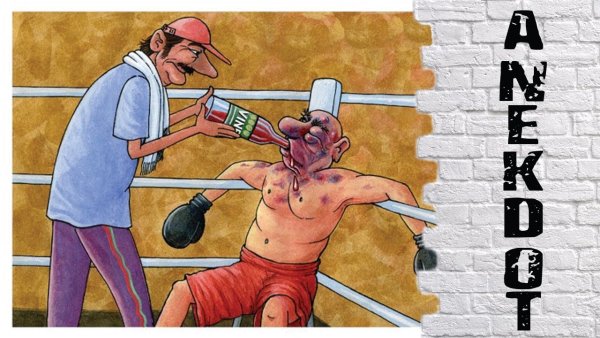 Боксер прикол