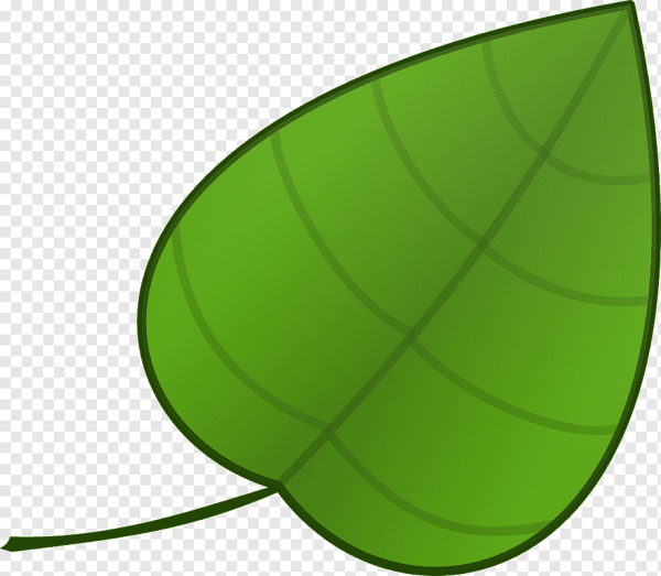 Листья мультяшные