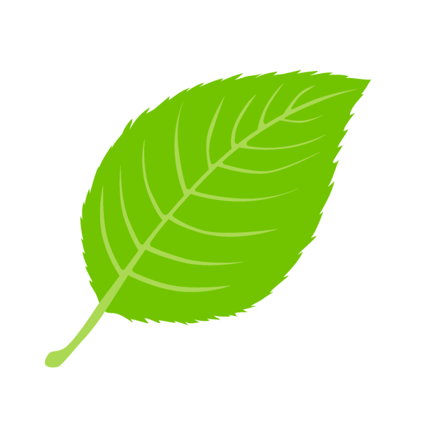 Зеленый лист