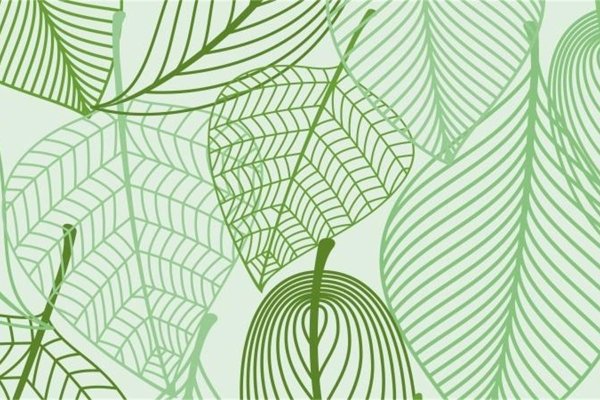 Листочки принт