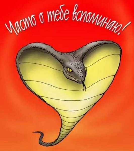 Валентинка прикол