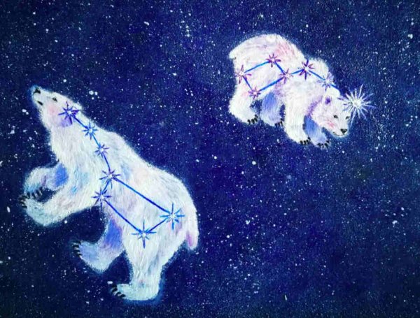 Сказочное появление большой медведицы