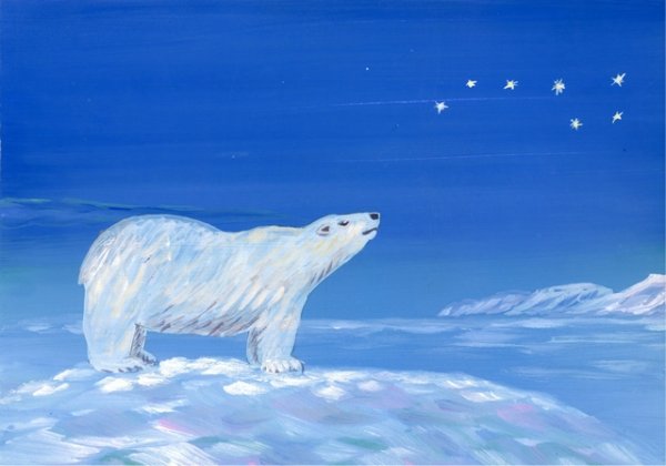 Медвежонок и Полярная звезда