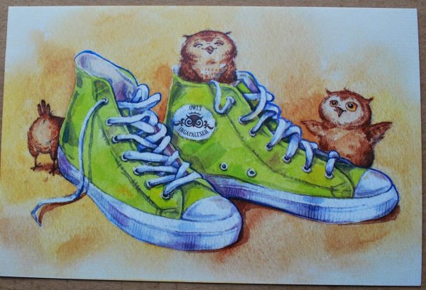 Кеды рисунок