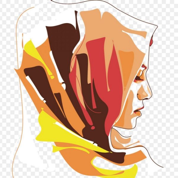 Женский силуэт в платке