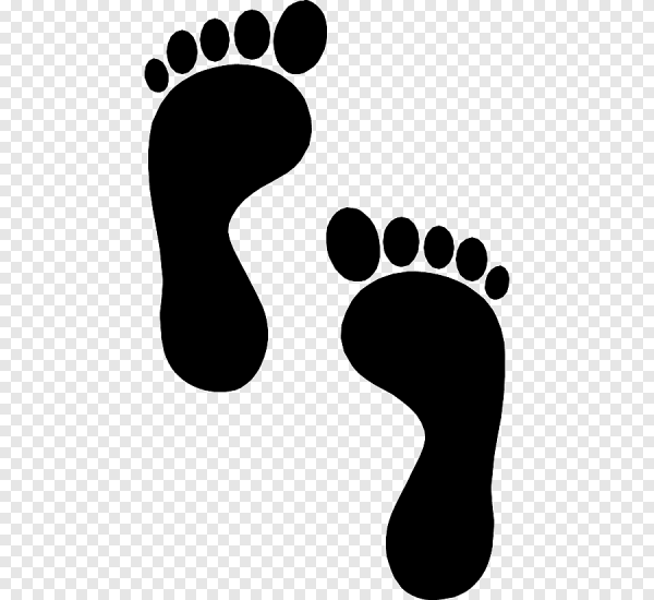 Бумажные следы ног