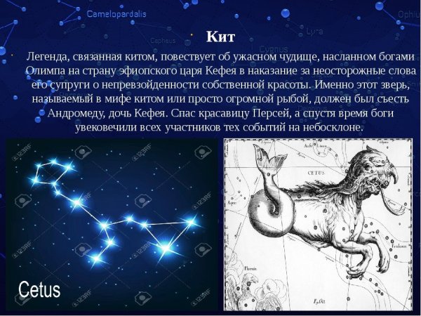 Сказочные созвездия