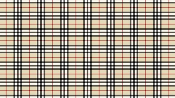 Строение эукариотической животной клетки