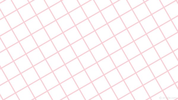 Схема строения животной клетки