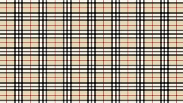 Схема строения клетки животного