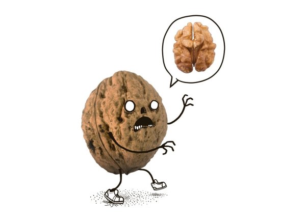 Прикольные грецкие орехи