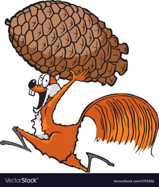 Смешная шишка