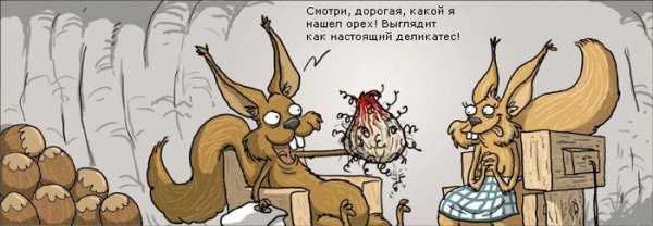 Приколы про орехи