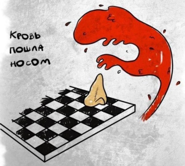 Пилот сажает самолет